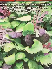 Салат Восточная смесь, семена