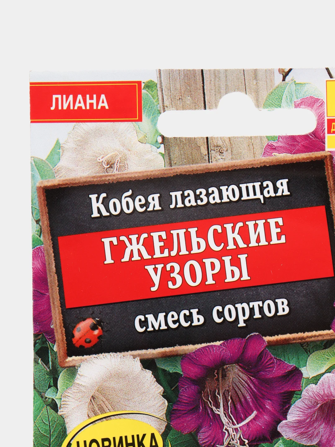 Кобея Гжельские узоры (семена,цветы)