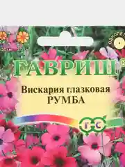 Семена цветы "Вискария Румба"