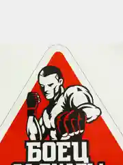 Наклейка на автомобиль "Боец"