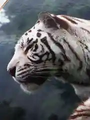 Белый подставка под горячее