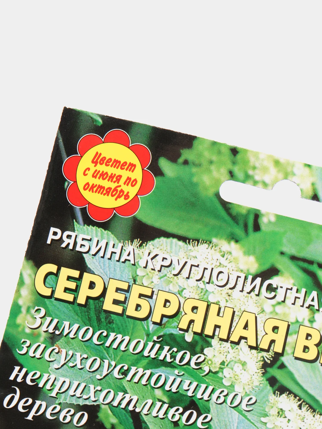 Рябина "Серебряная весна", семена цветов