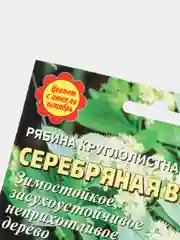 Рябина "Серебряная весна", семена цветов