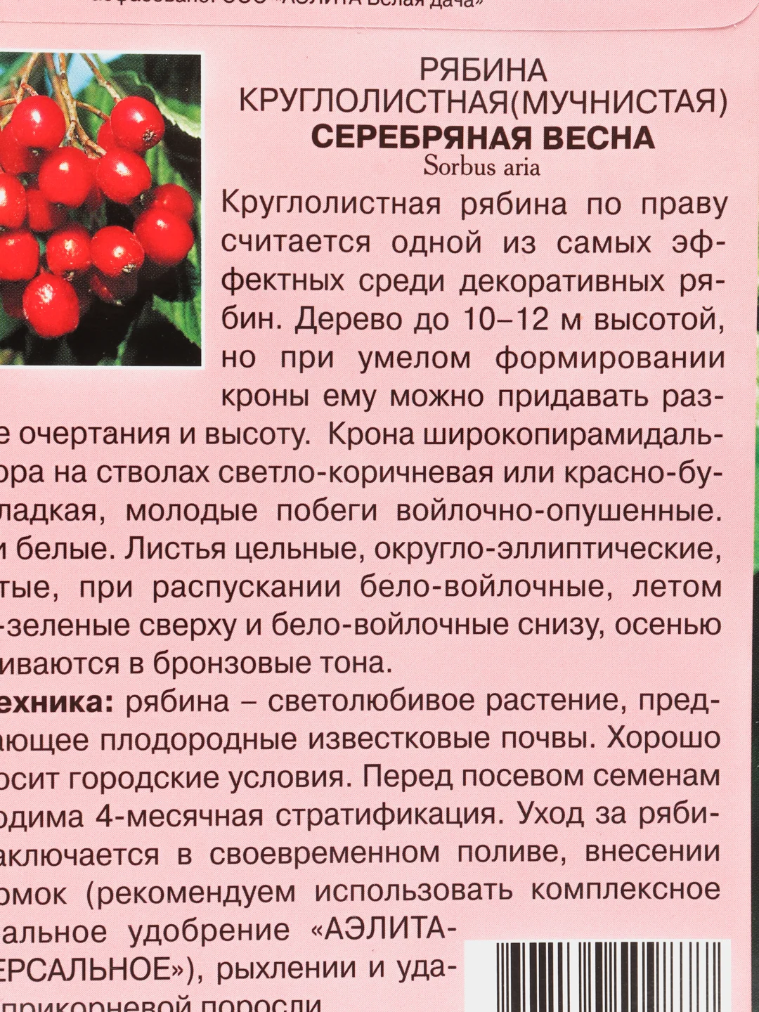 Рябина "Серебряная весна", семена цветов
