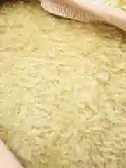 Зеленый кофточка махровая для собак и кошек