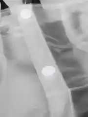 Белый дождевик для собак