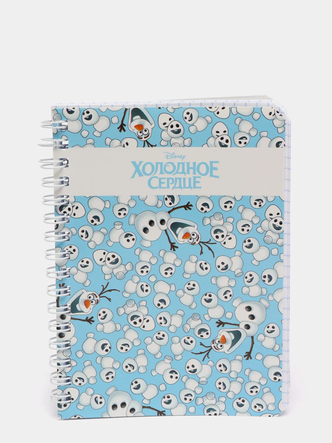 Аметистовый записная книжка, 80 л, А6