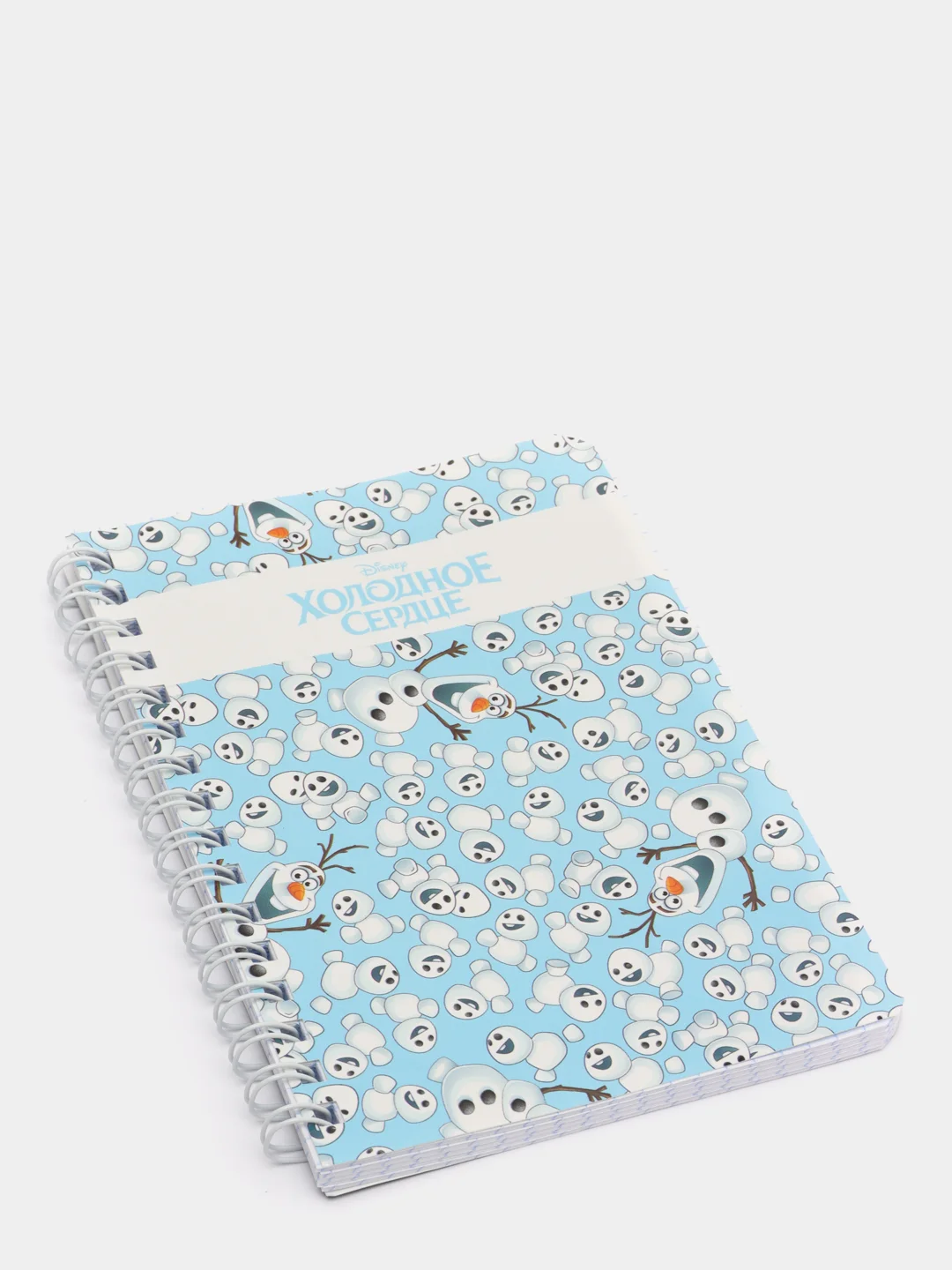 Аметистовый записная книжка, 80 л, А6