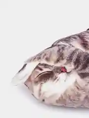 Коричневый мягкая подушка Кошка/Кот, реалистичная