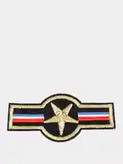Желтый термонаклейки на одежду армейские значки