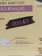 Пеленки впитывающие с фиксируюшими полосками 60x40 см, 35 штук