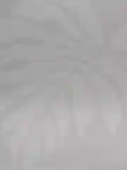 Трафарет пластиковый Luxart Template Монстера лист 3, TR79, 40 х 40см, толщина 1,5-2 мм