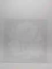 Трафарет пластиковый Luxart Template "Пион букет",  50х50 см, толщина 1,5-2 мм