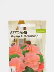Бегония Фортун пич шейдс (семена,цветы)