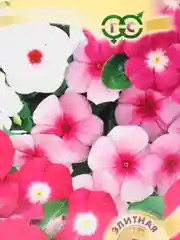 Катарантус "Сиеста", семена