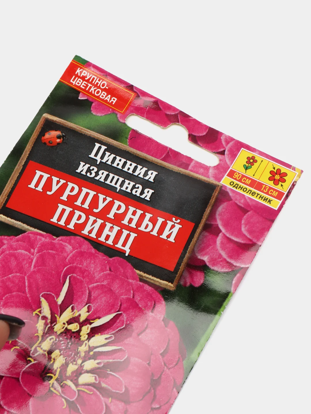 Семена циннии изящной "Пурпурный принц"