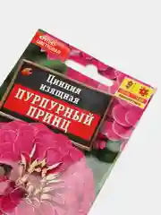 Семена циннии изящной "Пурпурный принц"
