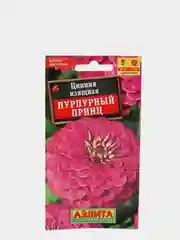Семена циннии изящной "Пурпурный принц"