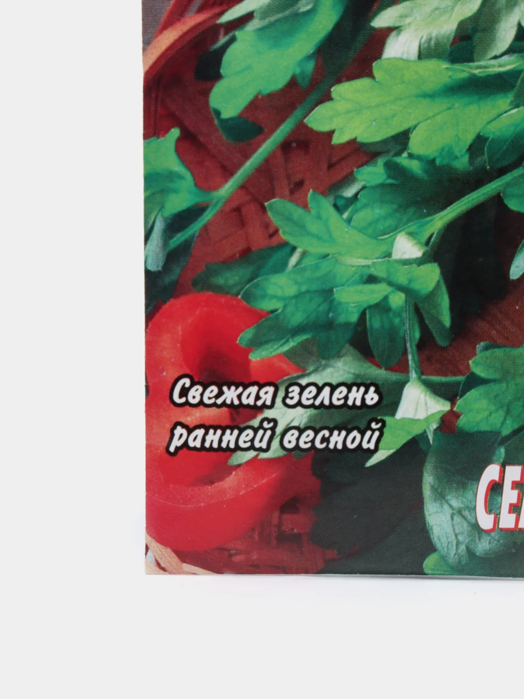 Семена петрушки