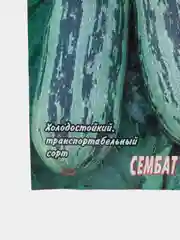 Семена кабачка "Цуккини зебра"