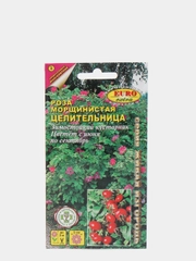 Роза Целительница, семена, цветы