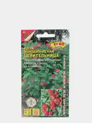 Роза Целительница, семена, цветы