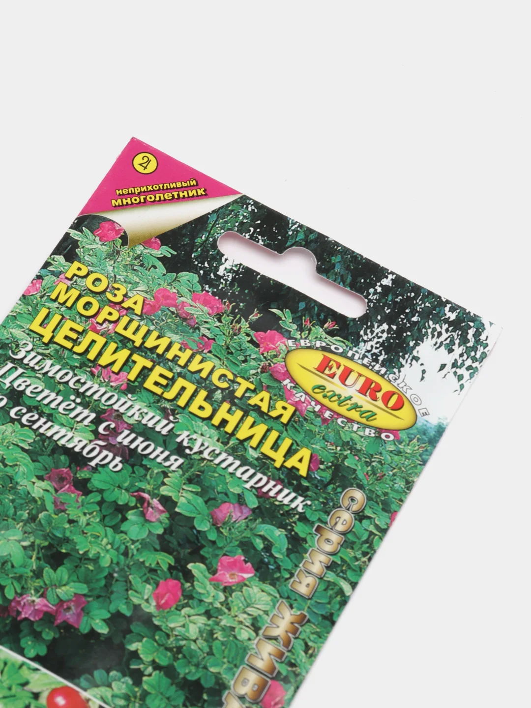 Роза Целительница, семена, цветы