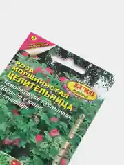 Роза Целительница, семена, цветы
