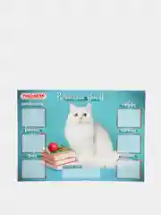 Аметистовый расписание уроков на неделю