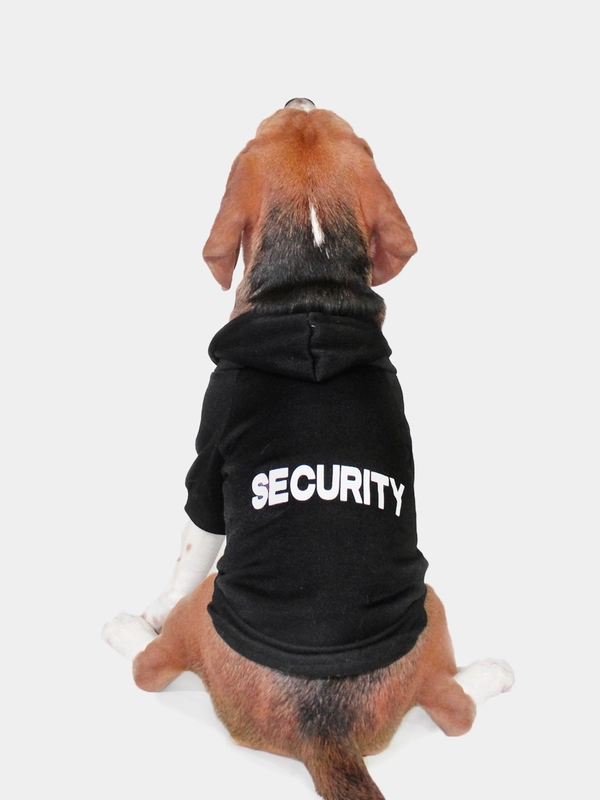 Толстовка для собак и кошек малых пород с капюшоном  "Security"