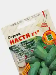 Огурец Настя F1