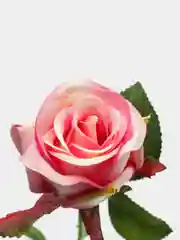 Розовый искусственные розы, пионы и камелии