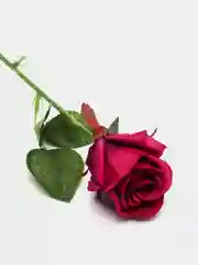 Марсала искусственные розы, пионы и камелии
