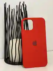 Красный чехлы на iPhone 11, 12, 12 Pro Silicone