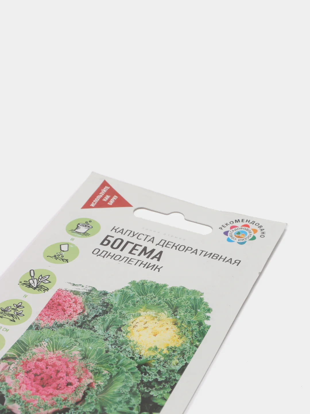 Капуста декоративная "Богема", семена