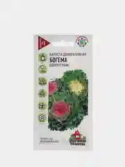 Капуста декоративная "Богема", семена