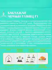 Семена баклажан "Черный глянец" F1, раннеспелый, 10 штук