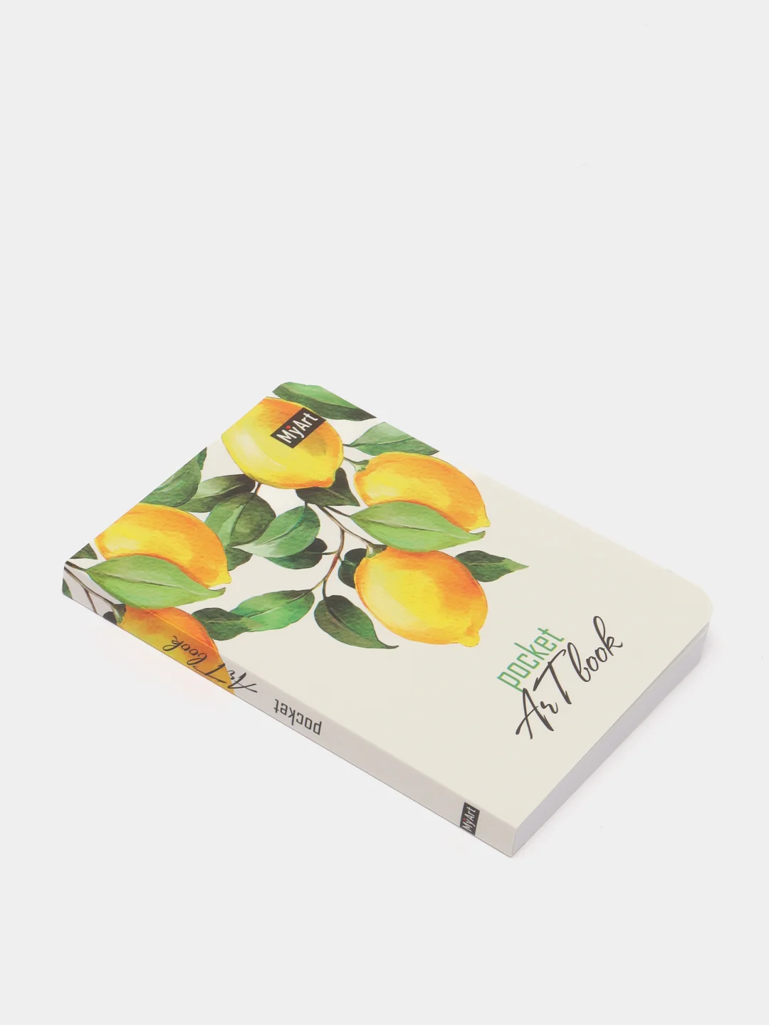 Бронзовый скетчбук MyArt Pocket Artbook, А6, без линовки, 100 г/м2, 80 листов. Проф-Пресс