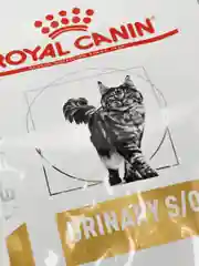 Сухой корм для кошек Royal Canin Urinary S/O, при мочекаменной болезни, 350 г