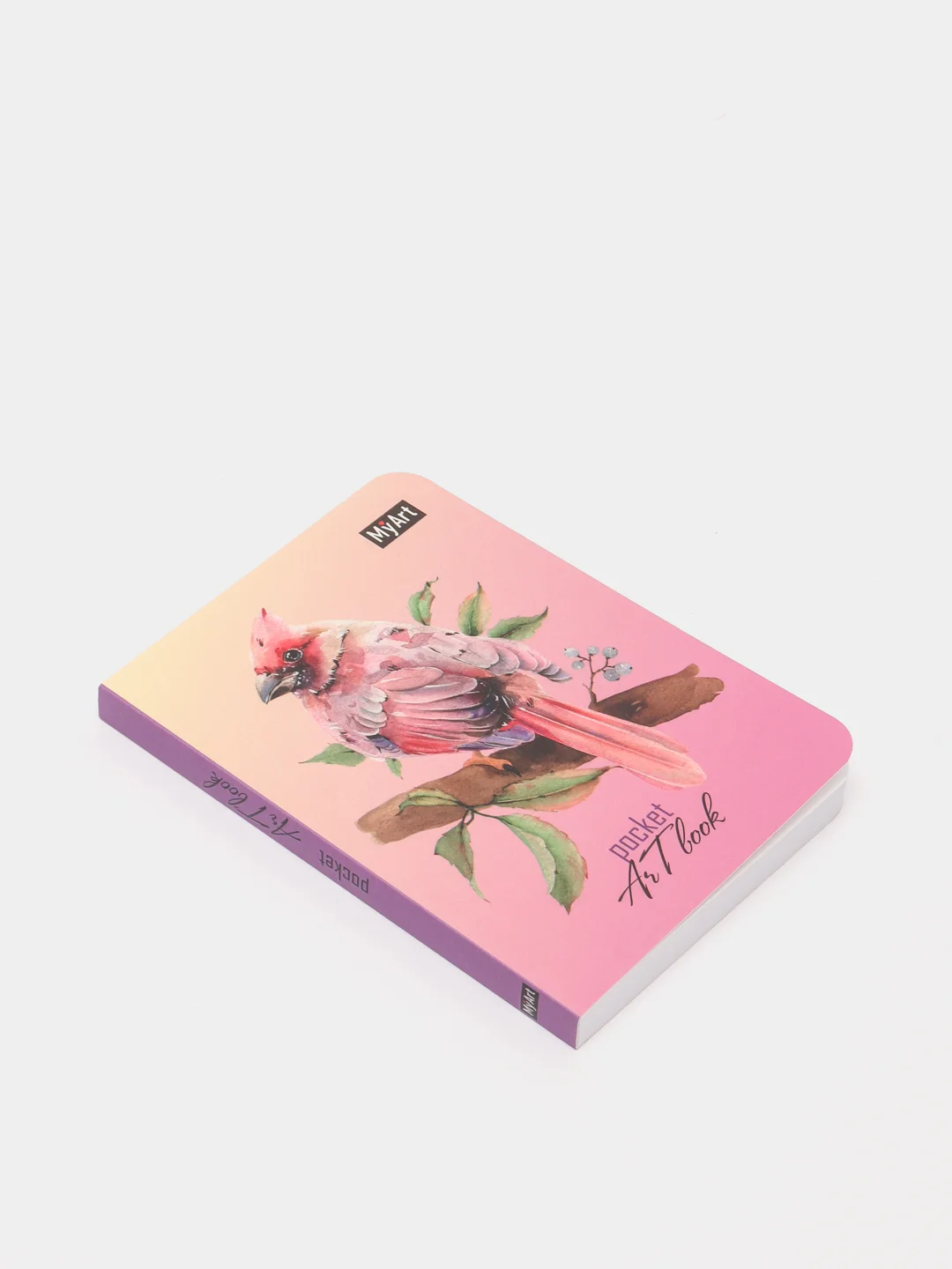 Голубой скетчбук MyArt Pocket Artbook, А6, без линовки, 100 г/м2, 80 листов. Проф-Пресс
