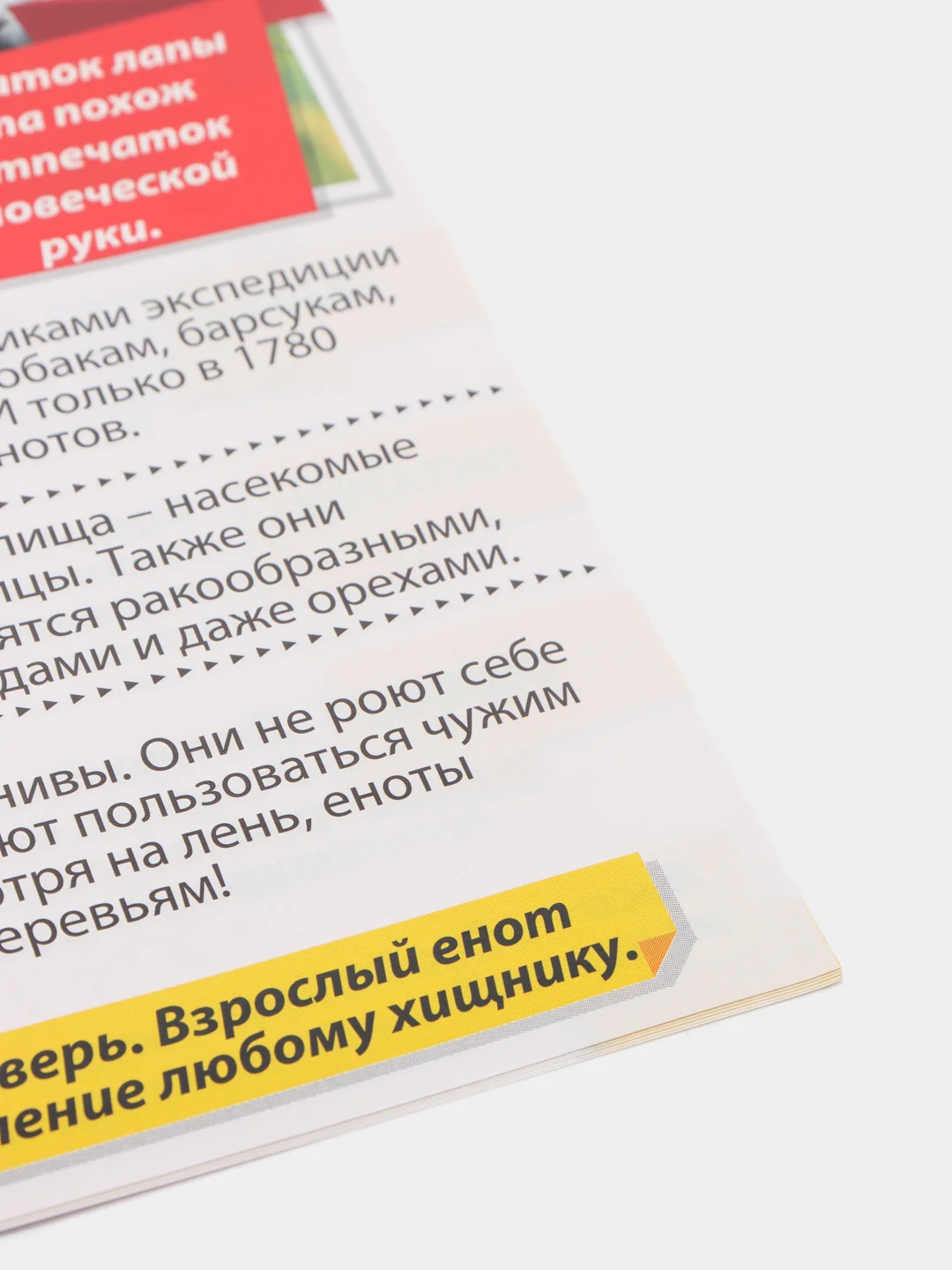 Мини-энциклопедия "Узнаем про все вокруг"