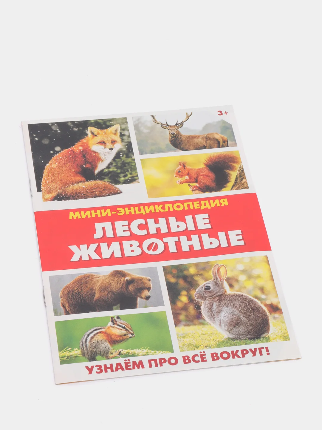 Мини-энциклопедия "Узнаем про все вокруг"