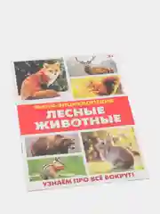 Мини-энциклопедия "Узнаем про все вокруг"