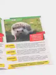 Мини-энциклопедия "Узнаем про все вокруг"