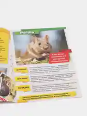 Мини-энциклопедия "Узнаем про все вокруг"