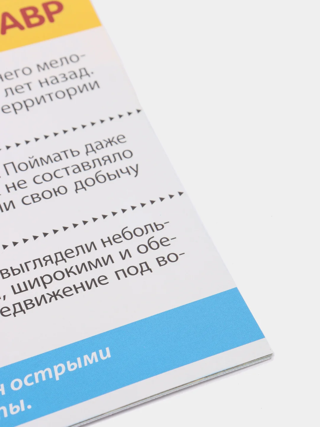 Мини-энциклопедия "Узнаем про все вокруг"