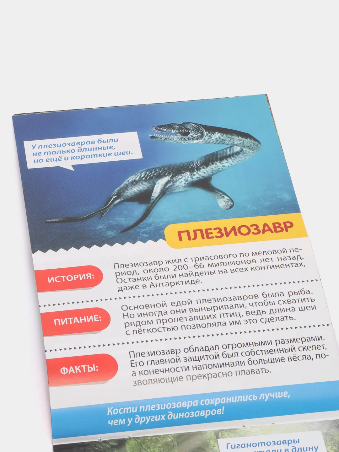 Мини-энциклопедия "Узнаем про все вокруг"