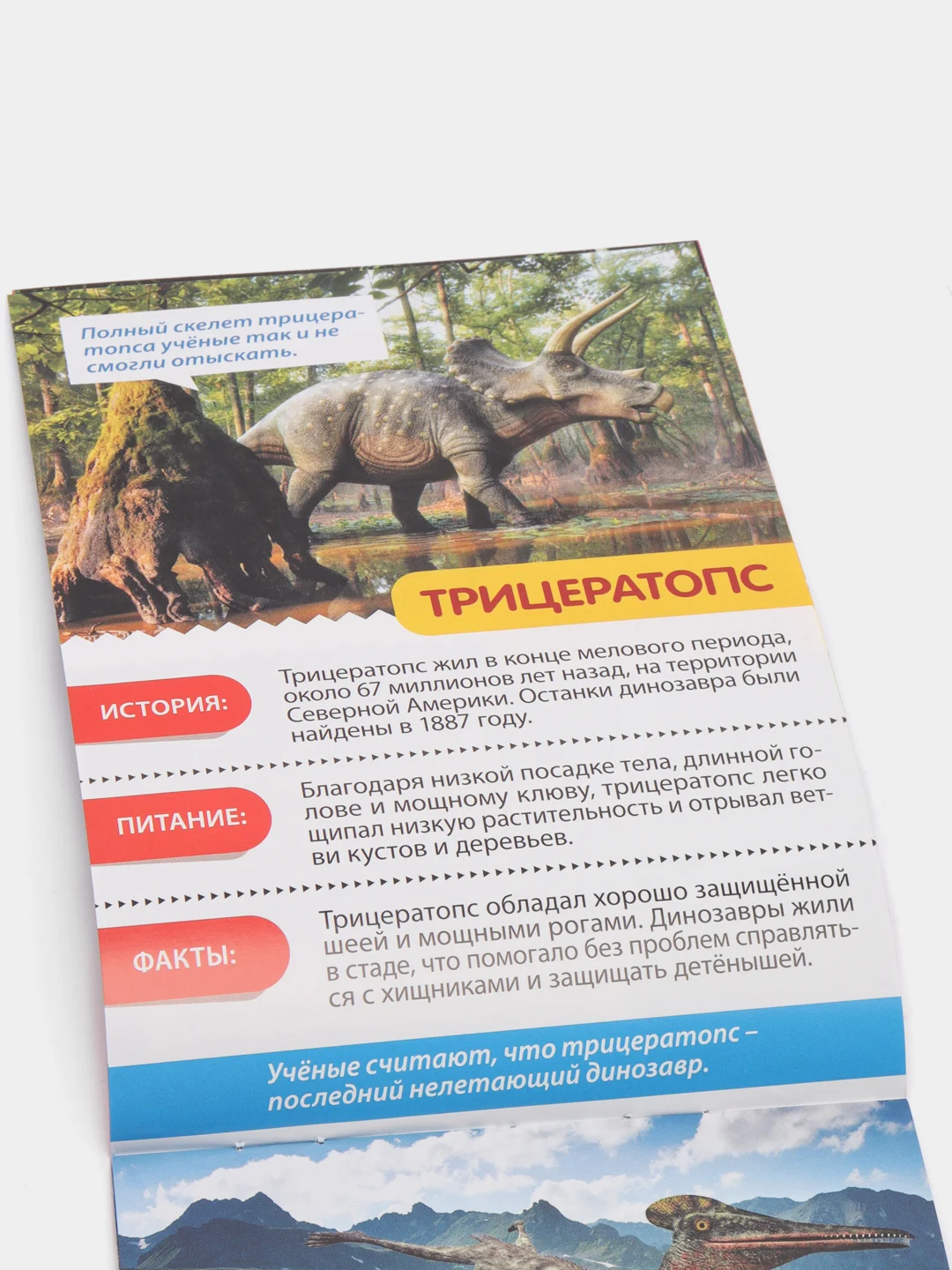 Мини-энциклопедия "Узнаем про все вокруг"