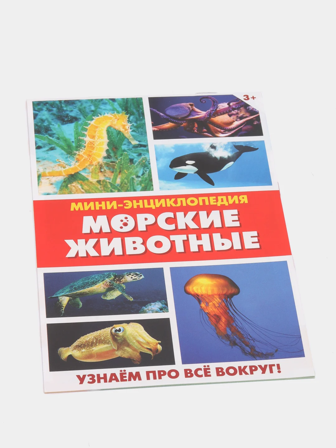 Мини-энциклопедия "Узнаем про все вокруг"