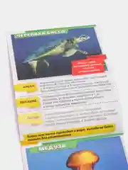 Мини-энциклопедия "Узнаем про все вокруг"
